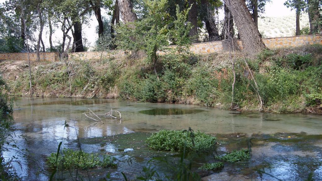 Hostal Rural El Nacimiento Deifontes ภายนอก รูปภาพ