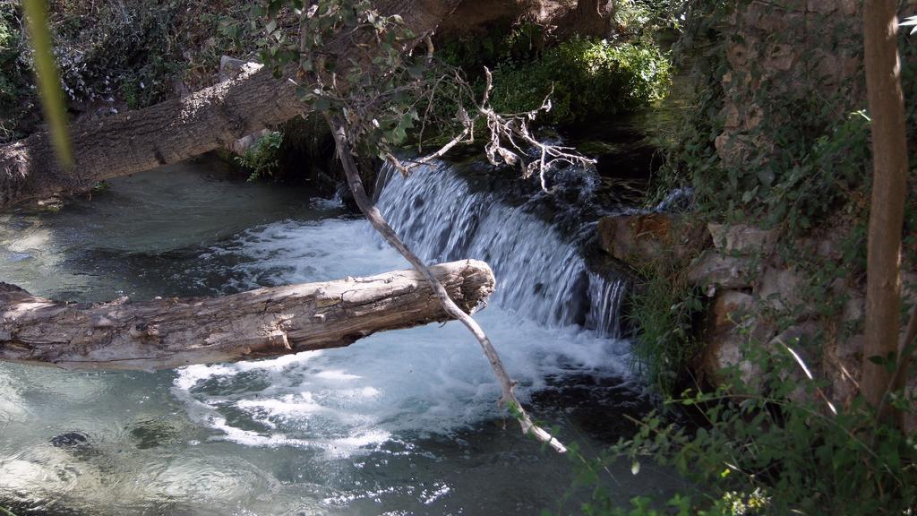 Hostal Rural El Nacimiento Deifontes ภายนอก รูปภาพ