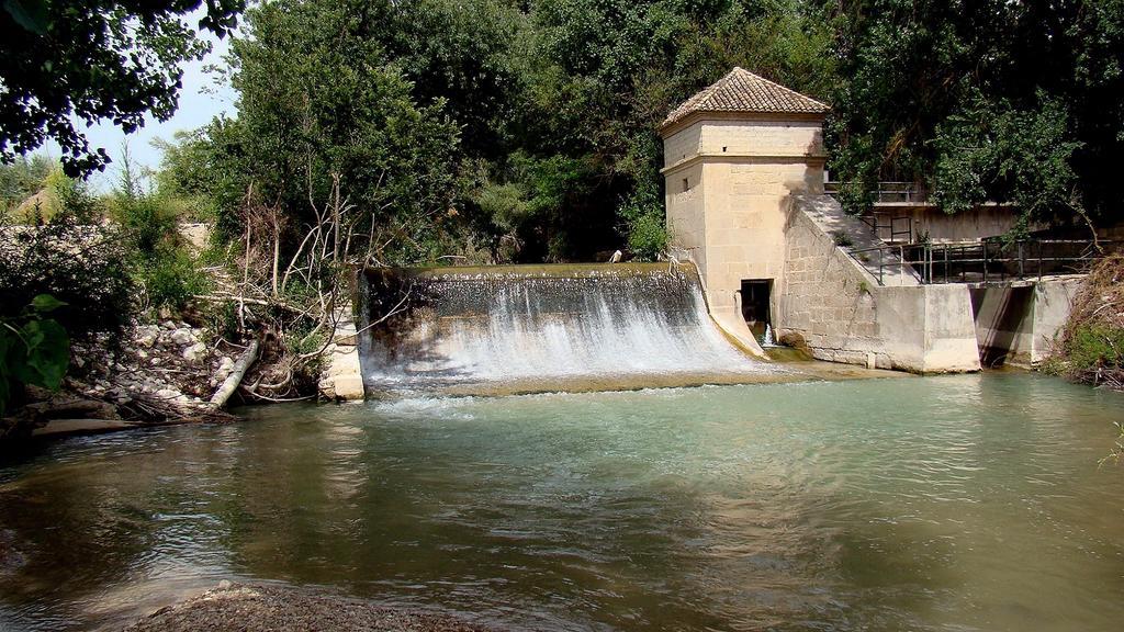 Hostal Rural El Nacimiento Deifontes ภายนอก รูปภาพ