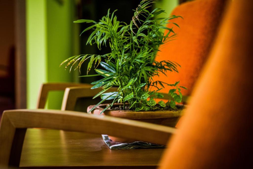 Hostal Rural El Nacimiento Deifontes ภายนอก รูปภาพ