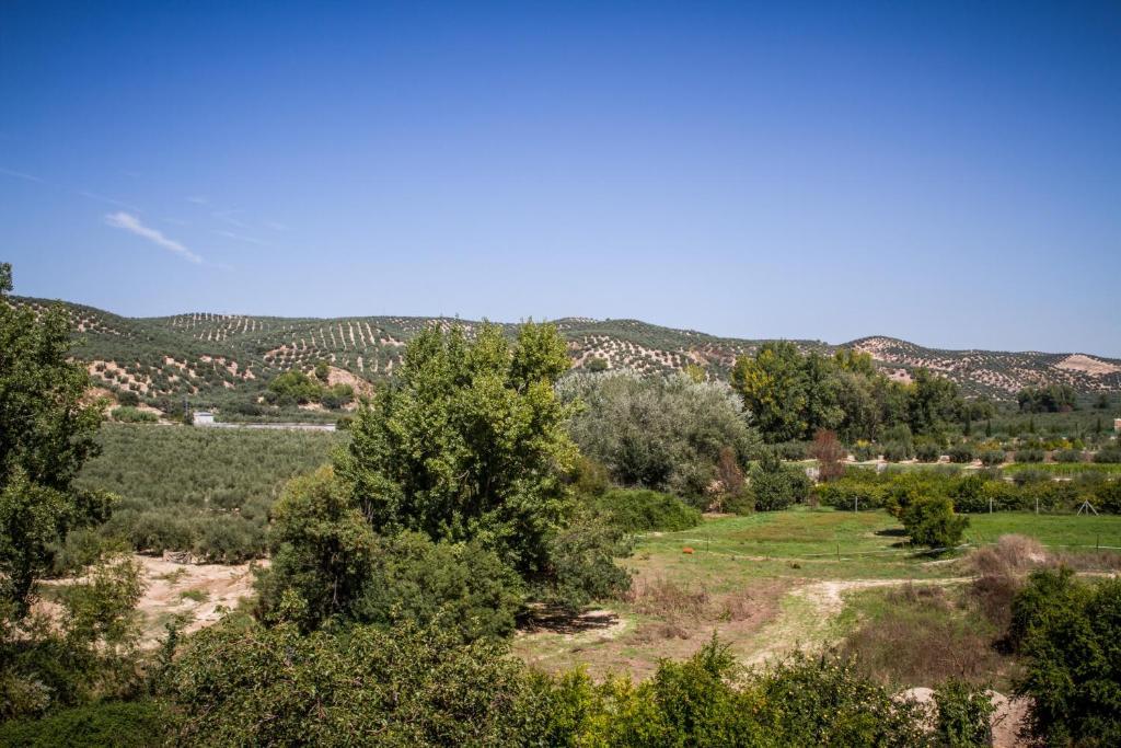 Hostal Rural El Nacimiento Deifontes ภายนอก รูปภาพ